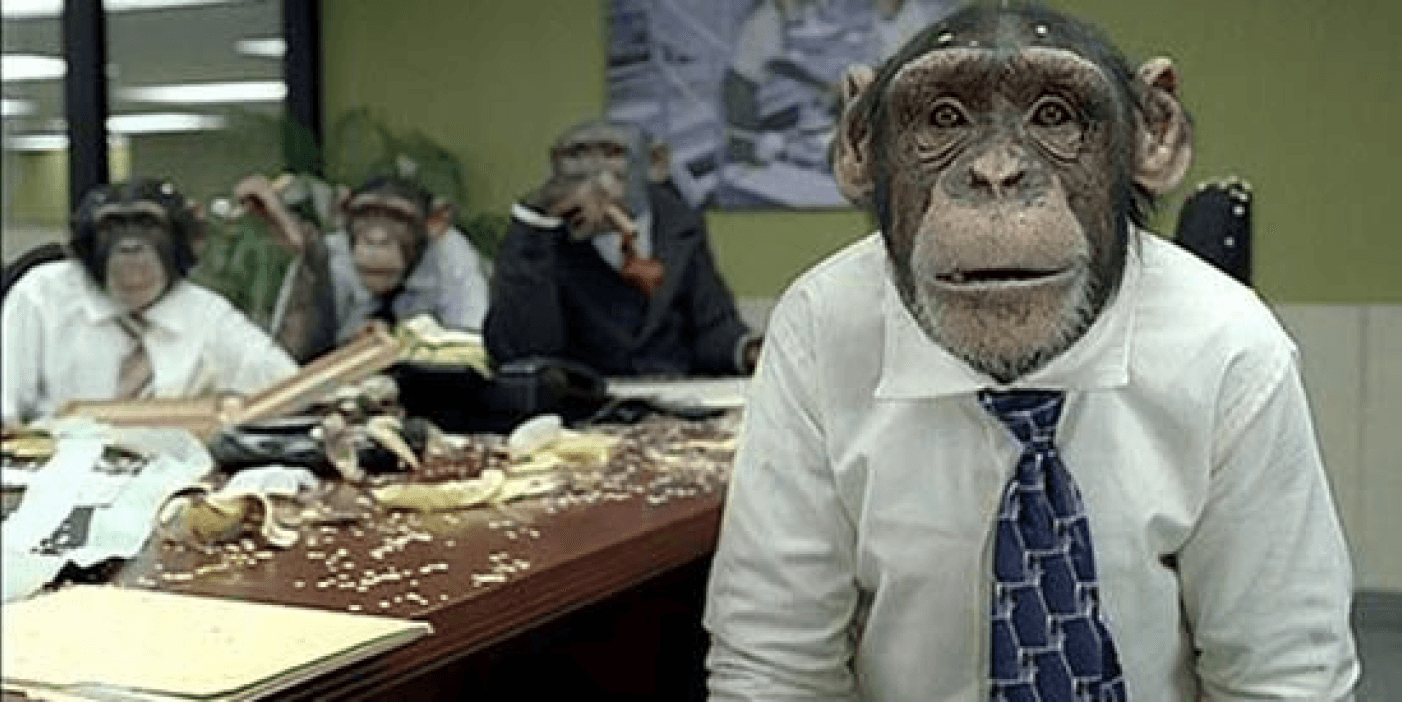 image of a monkey in the office