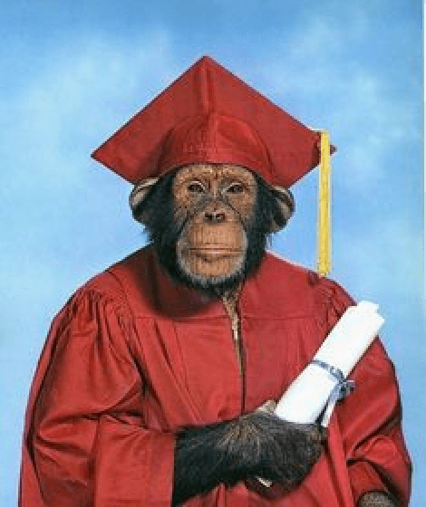 image of a smart monkey