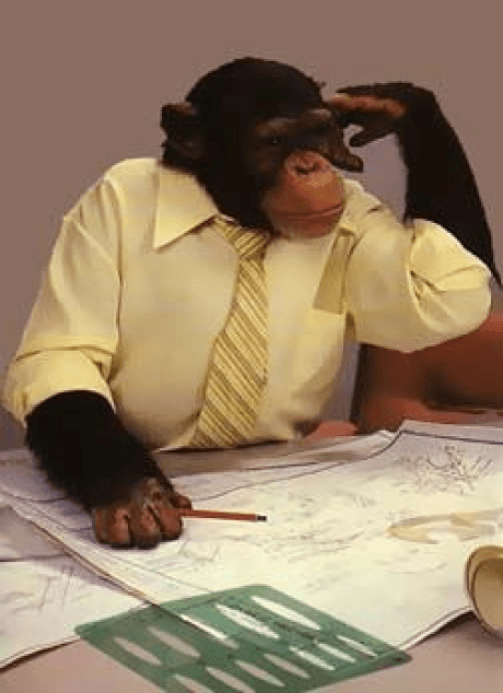 image of a monkey doing business